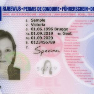 Tłumaczenie przysięgłe prawa jazdy z Belgii na język polski – online