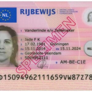 Tłumaczenie przysięgłe prawa jazdy z Holandii / Niderlandów na język polski – online