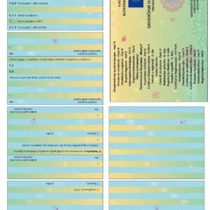 Tłumaczenie przysięgłe dokumentów samochodowych z Słowacji na język polski – online